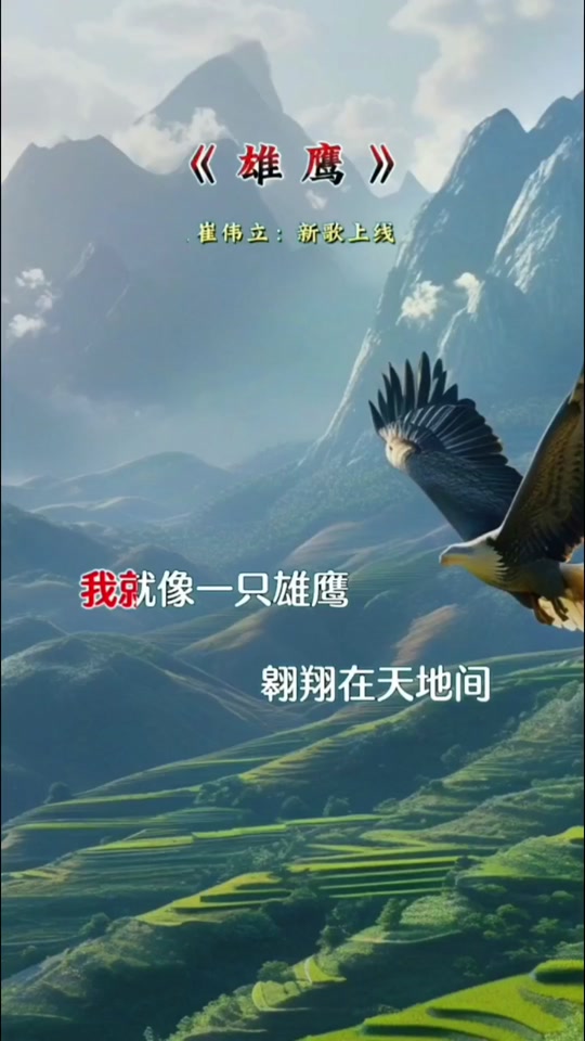 雄鹰展翅：球队高空作战取得胜利
